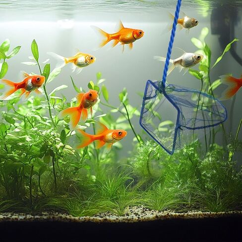 Lpraer 6 بوصة حوض السمك شبكة السمك الأخضر غرامة شبكة شبكة من النايلون مجموعة مع 11 "مقبض طويل مربع الصيد السريع شبكة السمك لخزان الأسماك in Kuwait