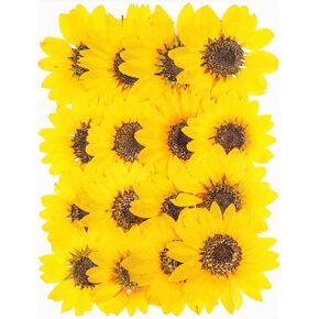 16Pcs Large Sunflower Dried Pressed Flowers for Crafts,Xinxinran Yellow Dry Flowers Kit for Resin Molds,Epoxy Resin Accessories,Bookmark,Jewelry Molds,Candle Making Supplies,Soap,Frame