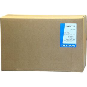 P-621725 (White) Air Filter