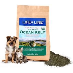 Organic Ocean KELP 8 OZ in Kuwait