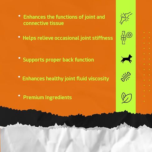 POINTPET الجلوكوزامين المتطور للكلاب مكمل الورك والمفاصل مضغ ناعم - مضغ صحي لمفاصل الكلاب - مضغ للعناية بالمفاصل مع الكوندرويتين - الكركم - أوميغا 3 - لدغات الحركة in Kuwait