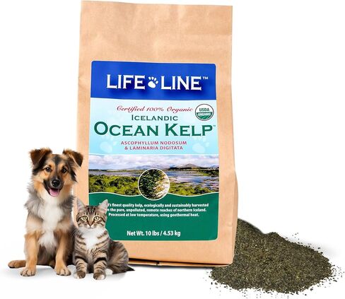 Life Line Pet Nutrition، مكمل عشب البحر العضوي للبشرة والمعطف، الهضم في الكلاب والقطط، 8 أونصة (20200) in Kuwait