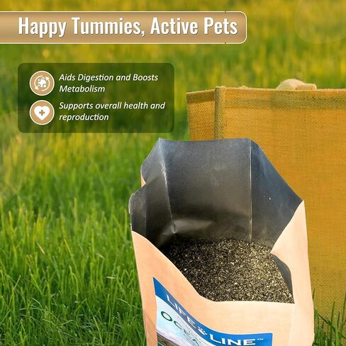 Life Line Pet Nutrition، مكمل عشب البحر العضوي للبشرة والمعطف، الهضم في الكلاب والقطط، 8 أونصة (20200) in Kuwait