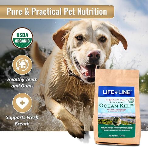 Life Line Pet Nutrition، مكمل عشب البحر العضوي للبشرة والمعطف، الهضم في الكلاب والقطط، 8 أونصة (20200) in Kuwait