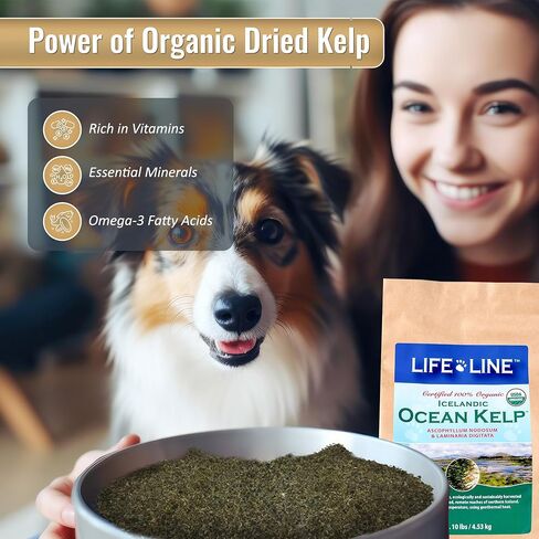 Life Line Pet Nutrition، مكمل عشب البحر العضوي للبشرة والمعطف، الهضم في الكلاب والقطط، 8 أونصة (20200) in Kuwait