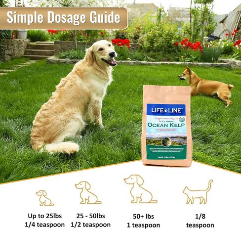 Life Line Pet Nutrition، مكمل عشب البحر العضوي للبشرة والمعطف، الهضم في الكلاب والقطط، 8 أونصة (20200) in Kuwait