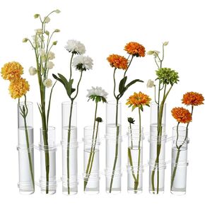 Hinged Flower Vase Different Heights Clear Cylinder Tiny Glass Foldable Vase Test Tube Propagation Station