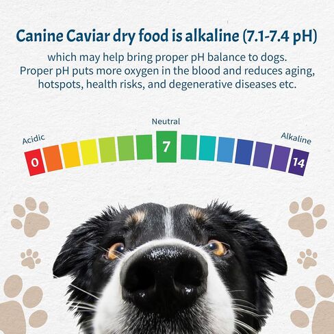 طعام الكلاب من Canine Caviar Open Sky - طعام الكلاب القلوي الشامل ذو المكونات المحدودة - جميع مراحل الحياة - خالي من الغلوتين، طعام الكلاب فائق الجودة - بشرة ومعطف صحي - البط والكينوا - 22 رطلاً in Kuwait