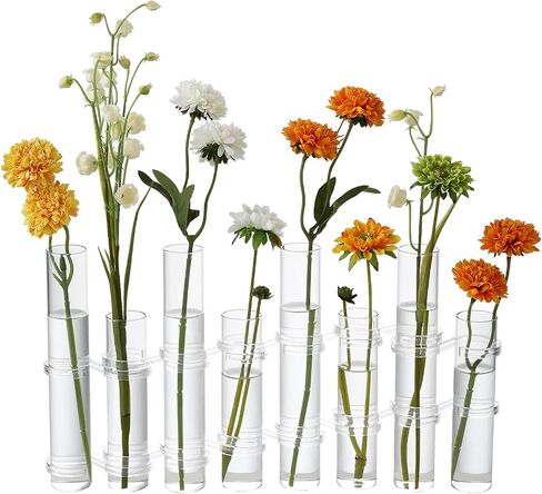 Hinged Flower Vase Different Heights Clear Cylinder Tiny Glass Foldable Vase Test Tube Propagation Station in Kuwait