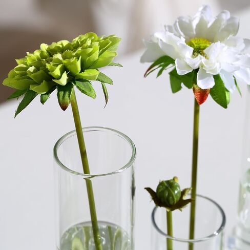 Hinged Flower Vase Different Heights Clear Cylinder Tiny Glass Foldable Vase Test Tube Propagation Station in Kuwait