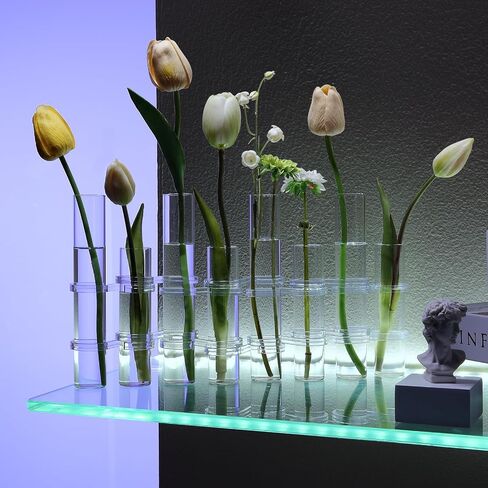 Hinged Flower Vase Different Heights Clear Cylinder Tiny Glass Foldable Vase Test Tube Propagation Station in Kuwait