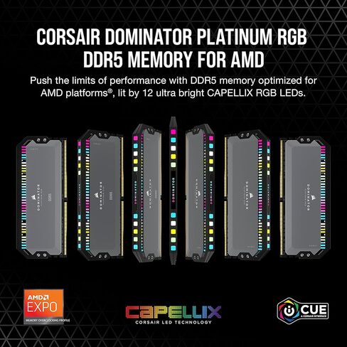 CORSAIR DOMINATOR PLATINUM RGB DDR5 RAM 64GB (2x32GB) 5600MHz CL40 AMD EXPO iCUE Compatible Computer Memory - Gray (CMT64GX5M2B5600Z40K) in Saudi Arabia