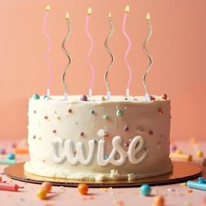 24 Count Twisty Birthday Candles Spiral Cake Candles with Holders Macaron Colors Long Twisty Cake Candles for Birthday, Party and Cake Decoration (Silver-Blue)