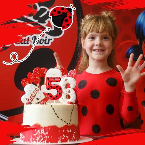 MTLEE Ladybug Candle Birthday Party Decorations Lady Bug Cake Cupcake Toppers Black Red Polka Ladybird Dots Theme Candles for Birthday Party Celebration(5) in Kuwait