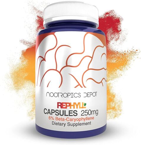nootropics depot capsules | 250mg | 60 العد | 6 ٪ بيتا كاريوفيلين | Piper Nigrum | يدعم إدارة الألم* | يدعم وظيفة المفصل* in Kuwait