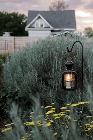 Barebones Box Candle Candle Lantern - فانوس الفولاذ والزجاج عتيقة للاستخدام الداخلي والخارجي - الأبواب المغناطيسية ، مقبض معلق ونوافذ قابلة للاستبدال للفناء ، حديقة وأجواء منزلية (شمعة غير متضمنة) in Saudi Arabia