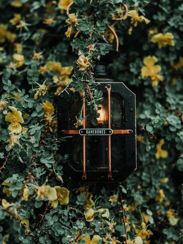 Barebones Box Candle Candle Lantern - فانوس الفولاذ والزجاج عتيقة للاستخدام الداخلي والخارجي - الأبواب المغناطيسية ، مقبض معلق ونوافذ قابلة للاستبدال للفناء ، حديقة وأجواء منزلية (شمعة غير متضمنة) in Saudi Arabia