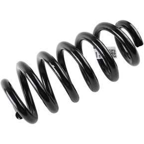 Parts 23104462 Rear Coil Spring