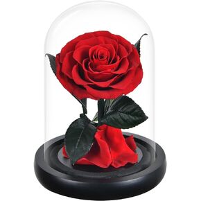 Valentines Day Gifts for Her-Valentines Day Flowers Gifts for Women-Valentine's Day Rose Gifts for Girlfriend,Wife,Mom - Rose in Glass Dome Gifts for Valentines Day (Red)
