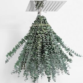 20 PCS Dried Eucalyptus for Shower Bundle, 17'' Real Large Preserved Eucalyptus Stems Shower Plants for Hanging, Fresh Eucalyptus Leaves, Fragrance, DIY Artificial Plant, Home SPA Bathroom Vase decor!