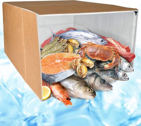 Thermo Chill Insulated Carton with Foil Insulated Bag Liner, Large Mailing Box, Shipping Box for Mailing, Shipping, Packing, Moving, Box Inside Dimension 19’’ x 12’’ x 16’’, 1 Pack in Saudi Arabia
