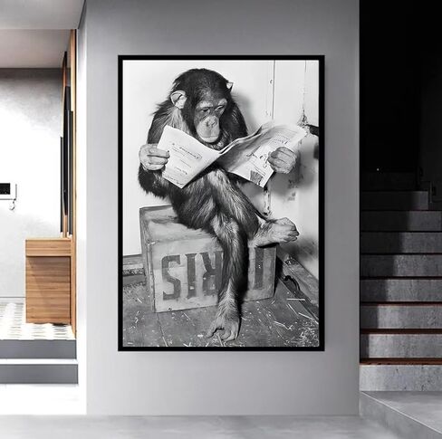 Funny Chimp Reading Newspaper Poster Black and White Wall Art Cute Animal Pictures HD Canvas Print Modern Home Wall Decor Living Room Poster Canvas Art Poster Unframed 12x16 Inches in Kuwait