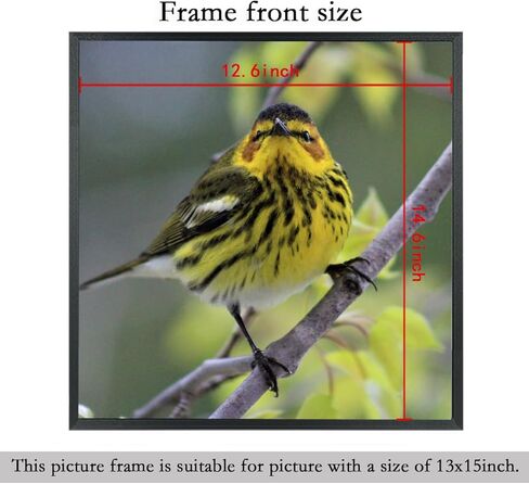 إطارات صور مقاس 13 × 15 من الخشب الصلب مقاس 13 × 15 بوصة إطار ملصق للجدار مقاس 13 × 15 بوصة إطارات صور عائلية باللون الأسود (C22B1315) in Kuwait