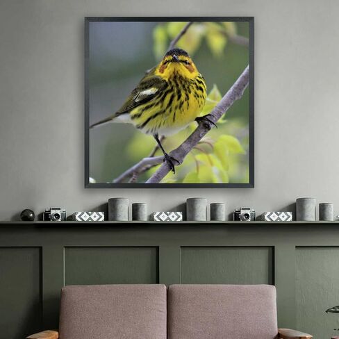 إطارات صور مقاس 13 × 15 من الخشب الصلب مقاس 13 × 15 بوصة إطار ملصق للجدار مقاس 13 × 15 بوصة إطارات صور عائلية باللون الأسود (C22B1315) in Kuwait