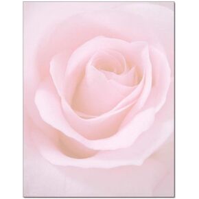 Blushing Rose Letterhead - 100 Sheets/Pack - 1 Pack