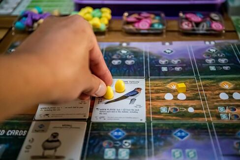 Stonemaier Games: Wingspan Oceania Expansion, Includes New Player Mats and a New Food Type, 40 to 70 Minute Play Time, 1 to 5 Players, for Ages 14 and up in Kuwait