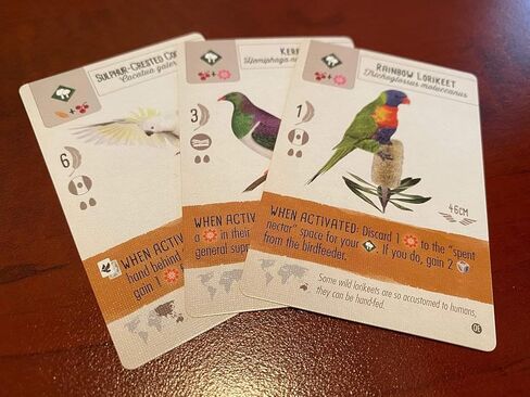 Stonemaier Games: Wingspan Oceania Expansion, Includes New Player Mats and a New Food Type, 40 to 70 Minute Play Time, 1 to 5 Players, for Ages 14 and up in Kuwait