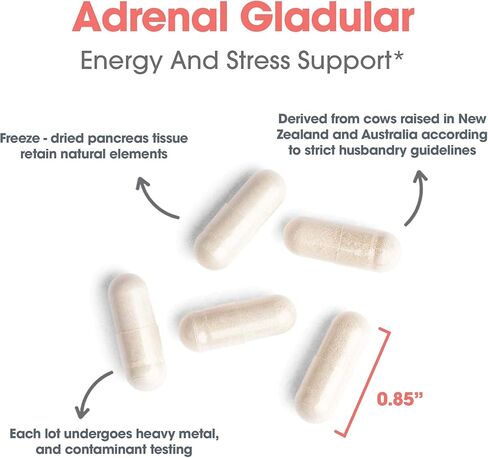 Allergy Research Group - Adrenal Glandular - Stress, Energy, Adrenal Support - 150 Vegicaps in Saudi Arabia