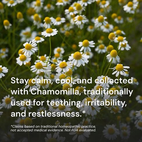 OLLOIS Chamomilla 30c Organic, Lactose-Free Homeopathic Medicine, 80 Pellets (Pack of 1) in Saudi Arabia