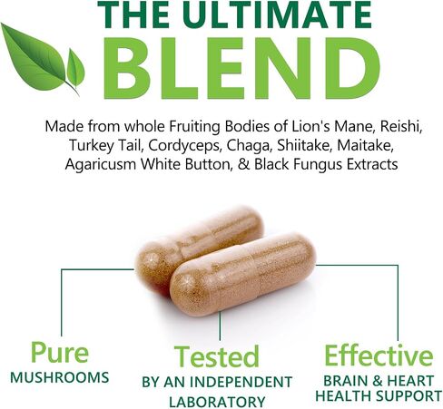 Mushroom Supplement - 10 Mushroom Complex - Lions Mane, Reishi, Turkey Tail, Chaga, Cordyceps, Shiitake, & Maitake - Nootropic Brain Supplement, Memory, Focus, & Imumune Health Support - 120 Capsules in Saudi Arabia