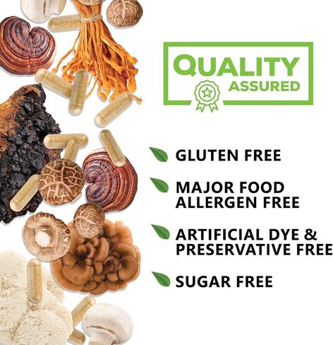 Mushroom Supplement - 10 Mushroom Complex - Lions Mane, Reishi, Turkey Tail, Chaga, Cordyceps, Shiitake, & Maitake - Nootropic Brain Supplement, Memory, Focus, & Imumune Health Support - 120 Capsules in Saudi Arabia