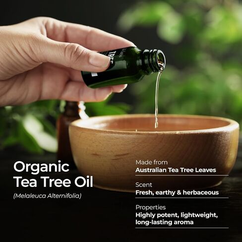Gya Labs Organic Ginger Oil for Body Comfort - Natural Organic Ginger Essential Oil for Hair, Skin & Diffuser - (0.34 fl oz) in Saudi Arabia
