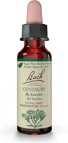 Bach Original Flower Remedies, Chicory for Unconditional Love (Non-Alcohol Formula), Natural Homeopathic Flower Essence, Holistic Wellness and Stress Relief, Vegan, 10mL Dropper in Kuwait