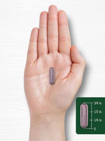 Carlyle Bilberry Extract Capsules | 3600mg | 200 Count | Vegetarian, Non-GMO, Gluten Free Fruit Supplement for Eye Health in Saudi Arabia