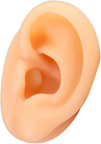 نموذج الأذن البشرية محاكاة الأذن البشرية اليمنى الاصطناعية نموذج الأذن سيليكون لاختيار الأذن، تعليم ثقب الأذن، الوخز بالإبر in Kuwait