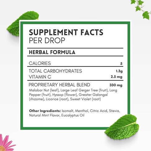 Herbion Naturals Sugar Free Cough Drops 108 Counts Mint Flavor (Pack of 6, 18 Counts per Pack) in Saudi Arabia