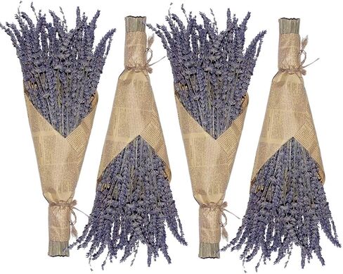 Dried Lavender Flowers Bundle - 6 Bunches Dried Lavender, Ideal Home Fragrance Products for Wedding, Party, Photography, Flower Arrangements & DIY Projects,16 Inches Long in Kuwait