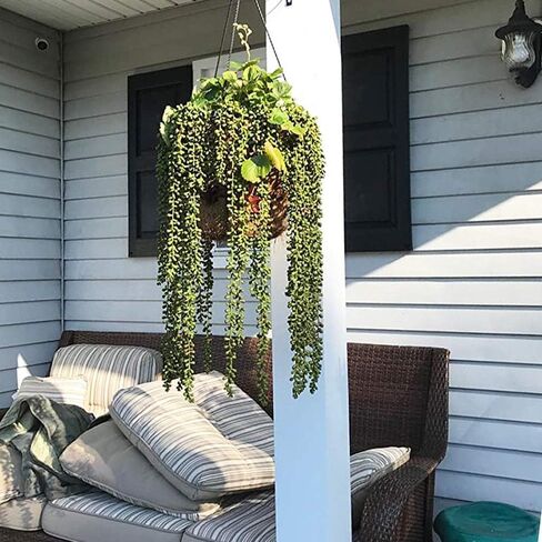 3pcs Artificial Fake String of Pearls Plant Faux Fake Hanging Succulents Plants in Saudi Arabia