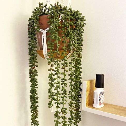 3pcs Artificial Fake String of Pearls Plant Faux Fake Hanging Succulents Plants in Saudi Arabia