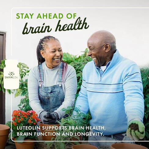 Swanson Luteolin Complex w/Rutin - Brain Support Supplement Promoting Memory, Mood & Cognitive Health - Natural Formula to Help Maintain Nervous System - (30 Veggie Capsules) in Saudi Arabia
