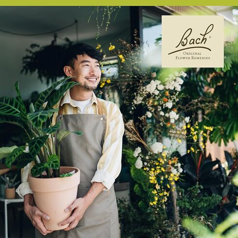 علاجات زهرة باخ الأصلية، زيتون للطاقة (تركيبة غير كحولية)، جوهر زهرة المعالجة المثلية الطبيعية، عافية شاملة وتخفيف التوتر، نباتي، قطارة 10 مل in Kuwait