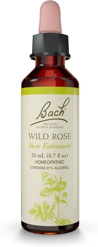 Bach Original Flower Remedies, Sweet Chestnut for Optimism, Natural Homeopathic Flower Essence, Holistic Wellness and Stress Relief, Vegan, 20mL Dropper in Kuwait