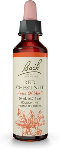 Bach Original Flower Remedies, Centaury for Assertiveness, Natural Homeopathic Flower Essence, Holistic Wellness, Vegan, 20mL Dropper in Saudi Arabia
