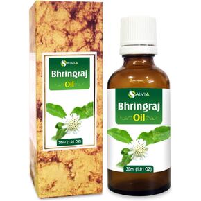 Arnica (Arnica Montana) Therapeutic Essential Oil by Salvia Amber Bottle 100% Natural Uncut Undiluted Pure Cold Pressed Undiluted Aromatherapy Premium Oil (30 ML)