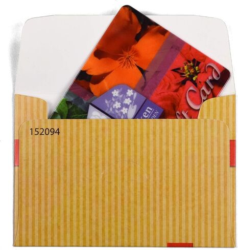 100 Guardian Gift Card Envelopes, 2-1/2" x 3-5/8" (Red Bow) in Saudi Arabia