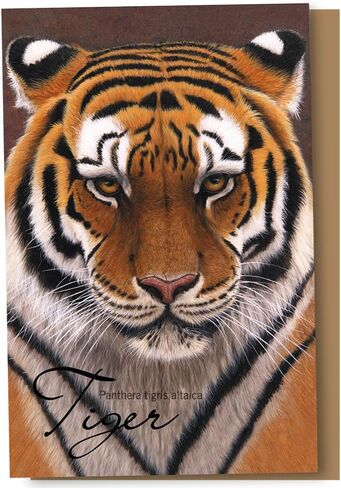 Tree-Free Greetings EcoNotes 12 Count Siberian Tiger All Occasion Notecard Set with Envelopes, 4 x 6 Inches (FS66732) in Saudi Arabia